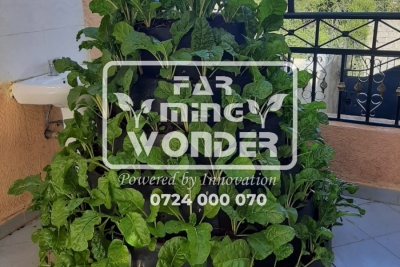Photo_1640093203241