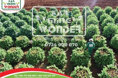 274810148_4953026038098629_7810873140333981656_n-Copy